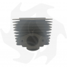 Zylinder-, Kolben-, Kolbenring- und Dichtungssatz für den Motor JLO 101 Zylinder und Kolben