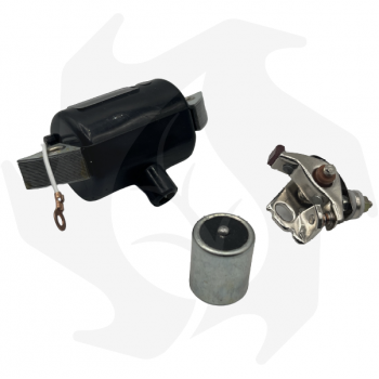 Kit bobina, condensatore e puntine per motore JLO L101-125-152-197 Ignition coil