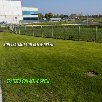 Active Green Bottos - 5 Kg Concime liquido con microelementi e pigmenti protettivi UV Prodotti speciali per prato