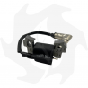Electronic ignition coil for Kaaz LM5361 lawnmower and Subaru EA175(VS5010) / EA190(V70320) engines Ignition coil