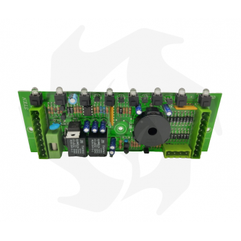 Elektronikplatine für Castelgarden TC102-122 Rasentraktor erste Serie mit 8 Funktionen Scheda elettronica