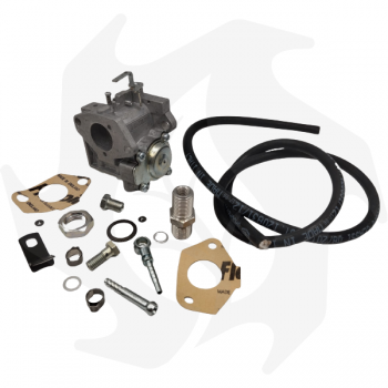 Petrol to gas conversion kit for Honda GX270-390-420 engine Garden Machinery Spare Parts