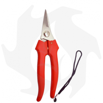 Falket grape scissors with narrow blade in stainless steel with leather strap Garden shears