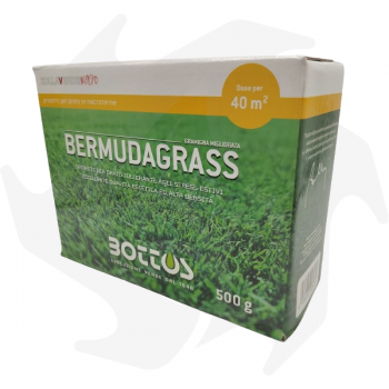 Bermudagrass Bottos - 500g Graines résistantes à la chaleur et à la sécheresse Mélanges de macrotermes