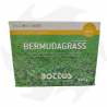 Bermudagrass Bottos – 500 g Hitze- und dürreresistente Samen Makroterme Mischungen
