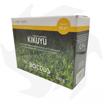 Kikuyu Bottos - 500g Sementi per zone molto soleggiate a breve dormienza invernale Macroterme mixtures