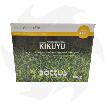 Kikuyu Bottos – 500g Samen für sehr sonnige Gebiete Makroterme Mischungen