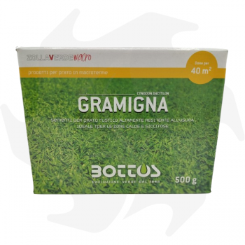 Gramigna Bottos - 500 g de semences d'espèces de graminées pour les zones à sécheresse prolongée graines