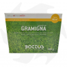 Gramigna Bottos - 500 g Semillas de especies de Gramigna para zonas con sequía prolongada Semillas de césped