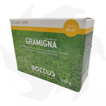 Gramigna Bottos - 500 g Semillas de especies de Gramigna para zonas con sequía prolongada Semillas de césped