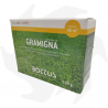 Gramigna Bottos - 500 g de semences d'espèces de graminées pour les zones à sécheresse prolongée graines