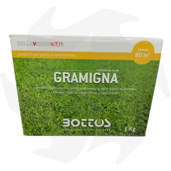 Gramigna Bottos - 1 kg de semences d'espèces de graminées pour les zones à sécheresse prolongée graines