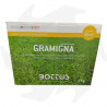 Gramigna Bottos - 1Kg Gramigna species seeds for areas with prolonged drought Lawn seeds