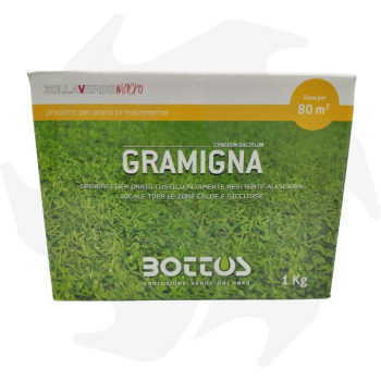 Gramigna Bottos - 1Kg Grassamen für Gebiete mit längerer Trockenheit Rasensamen