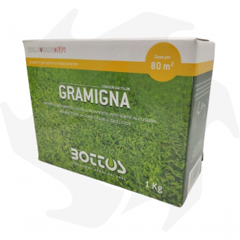 Gramigna Bottos - 1Kg Gramigna species seeds for areas with prolonged drought Lawn seeds