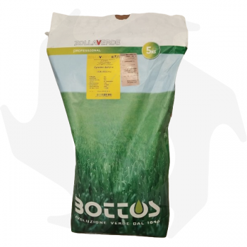 Gramigna Bottos - 5 kg de semences d'espèces de graminées pour les zones à sécheresse prolongée graines