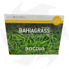 Bahiagrass Bottos - 500g Macrothermal seeds for warm and coastal areas Macroterme mixtures