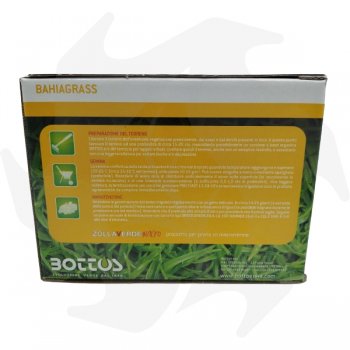 Bahiagrass Bottos – 500 g Makrothermische Samen für warme und küstennahe Gebiete Makroterme Mischungen