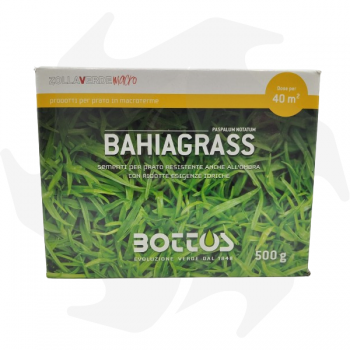 Bahiagrass Bottos - 500g Sementi di macroterme per zone calde e costiere Miscele di Macroterme