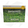 Bahiagrass Bottos – 500 g Makrothermische Samen für warme und küstennahe Gebiete Makroterme Mischungen