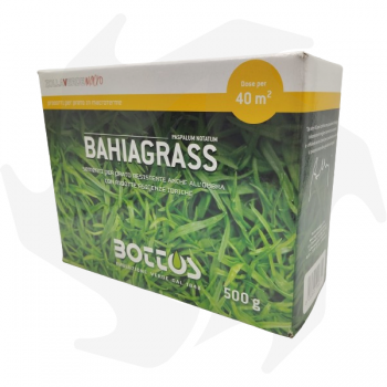 Bahiagrass Bottos - 500g Graines macrothermales pour zones chaudes et côtières Mélanges de macrotermes