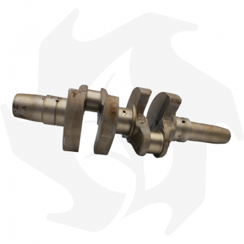 Crankshaft for Lombardini 9LD625/2 engine Crankshaft