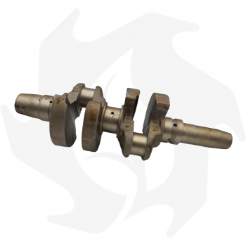 Crankshaft for Lombardini 9LD625/2 engine Crankshaft
