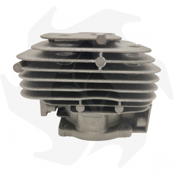 Original cylinder and piston for Active 5.5 brushcutter Cylinder and Piston