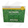 Dichondra Repens Bottos - 1Kg Sementi dicondra repens tappezzanti per tappeto folto a bassa manutenzione Sementi per prato