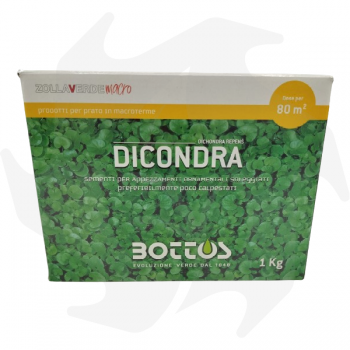 Dichondra Repens Bottos - 1Kg Dicondra repens graines de couvre-sol pour tapis épais nécessitant peu d'entretien graines
