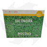 Dichondra Repens Bottos - 1Kg Sementi dicondra repens tappezzanti per tappeto folto a bassa manutenzione Sementi per prato