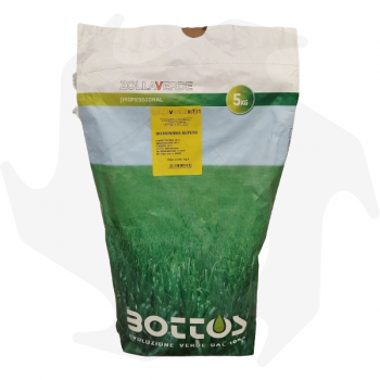Dichondra Repens Bottos - 5Kg Dichondra repens semillas cubresuelos para alfombras gruesas de bajo mantenimiento Semillas de ...