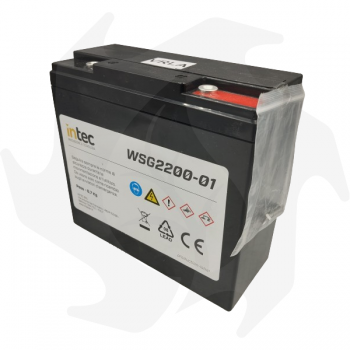 Batterie de remplacement pour le démarreur d'urgence SG2200 Démarreurs semi-professionnels