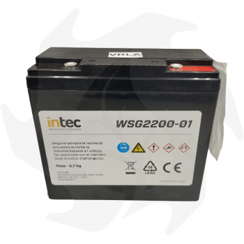 Batterie de remplacement pour le démarreur d'urgence SG2200 Démarreurs semi-professionnels