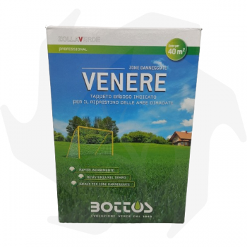 Venere Bottos - 1Kg Fortgeschrittene Samen zum Nachsäen und Regenerieren des Rasens Rasensamen