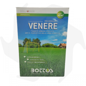Venere Bottos - 1Kg Advanced seeds pour ressemer et régénérer la pelouse graines