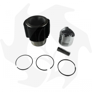 Cylinder + piston + piston ring set kit for Ruggerini RF80-81 engine D:80mm Cylinder and Piston
