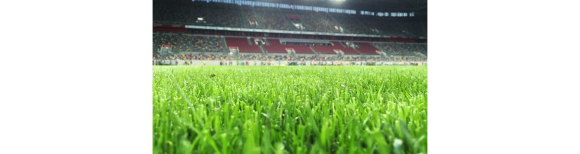 Mixtures for sports facilities and high-quality surfaces | Bazargiusto