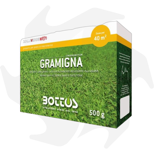 02389042_1-removebg-preview_risultato Gramigna Bottos – 500 g Sementi di specie gramigna per zone a siccità prolungata - immagine 1