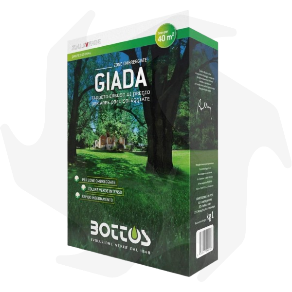 030102202 Giada Bottos – 1Kg Sementi evolute per prato ombreggiato - immagine 1