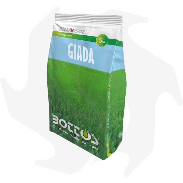 030102210 Giada Bottos – 5Kg Sementi evolute per prato ombreggiato - immagine 1