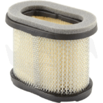 Filtro aria per motore Briggs & Stratton Quantum 697029