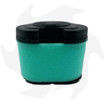 Filtro aria cod. 792105 per motore Briggs&Stratton 16-27HP bicilindrico - immagine 4