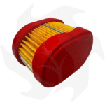 Filtro aria per motori Briggs & Stratton 3,5 – 4 HP