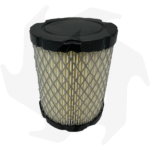 Filtro aria per motori Briggs & Stratton 8 12,5 HP