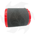 Filtro aria completo per motore 4 tempi Zanetti ZBM270 - immagine 3