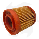 Filtro dell’ aria per rasaerba Aspera Tecumseh AV 125 BVL 198 BH 153