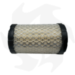 Filtro aria per motori Briggs & Stratton serie Intek - immagine 2