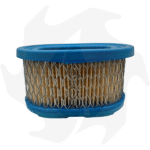 Filtro dell’ aria per motori Briggs & Stratton Quantum 5 HP - immagine 2