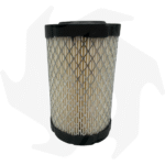 Filtro aria per motori Briggs & Stratton serie Intek